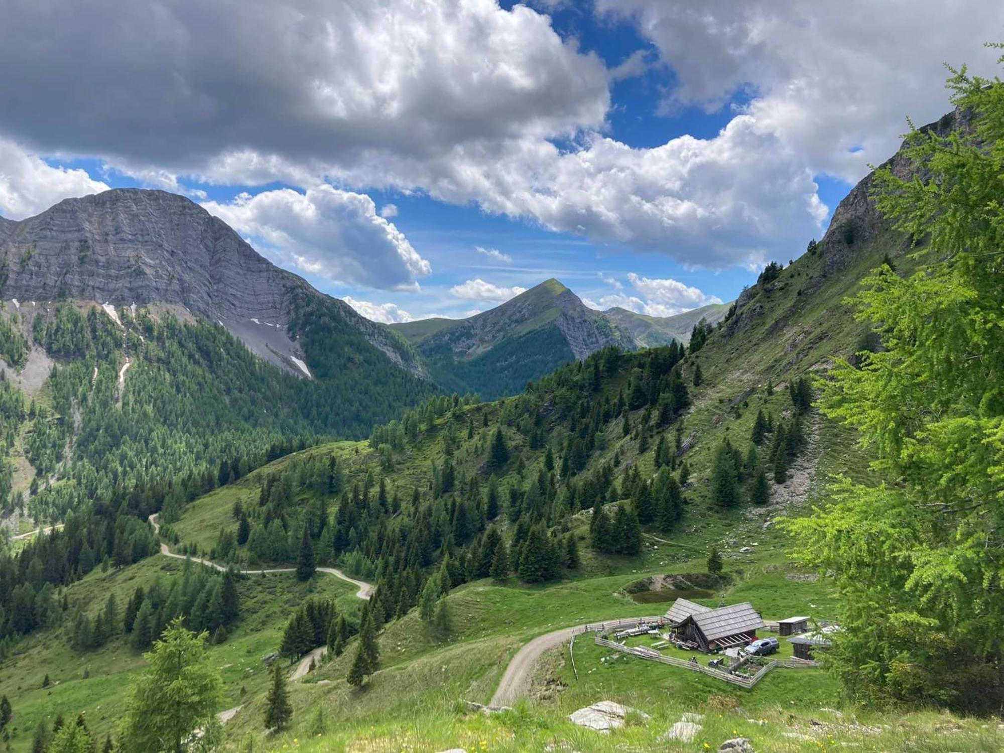 Gasthof Pension Perauer Lieserhofen Exteriör bild